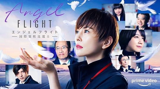 美剧传奇办公室第一季在线完整版